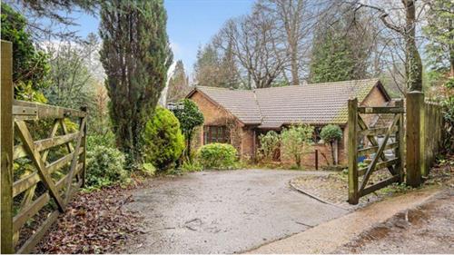 Grovers Gardens, Wood Road, Hindhead