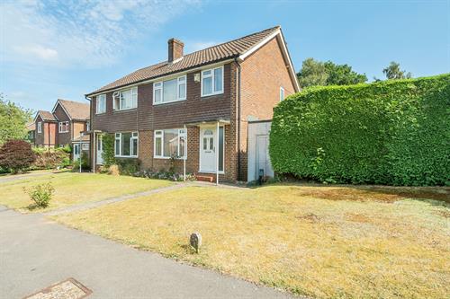 Hazelbank Close with scope