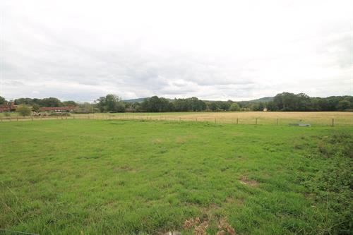 Countryside property Liphook